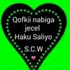 berta.nool0