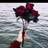 toka_elsaied