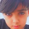 reza.parkandeh