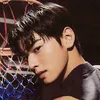 chaeunwoo.ibrr