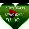 user70482488623058