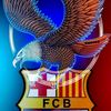 fernando5024536