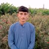 badaruddin.brohi7