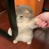 nnaaa_uuu