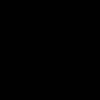 mycetophilidae_do