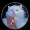 www.tiknoname0