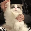 ejwdswe