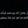 abdo.ff239