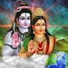 anjupant753