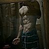 gymvip5