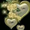 user94209813261716