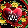 userijaz17