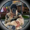 user8629381788270