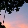atik_934
