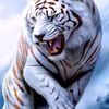 virat.taweepon
