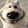 tiu.kim41