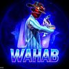 wahabi.editz