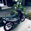 rei16087