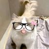 cherrymay6433
