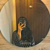 amna42196