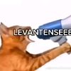 librai6