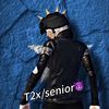 t2xsenior1