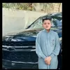 صفاوي الاسد الاحتياطي
