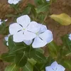 noor.krar2