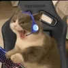 reggie_stant