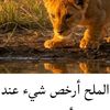 user486007359313