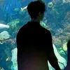kylefernandez002