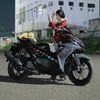 syrere_fell