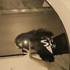 lll_layan4