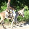 farmerbrownpro