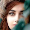 wfadarh7gmail.com