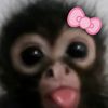 ohyoufoundme182