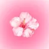 milena.gucwa6