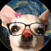 samy851319