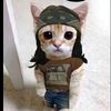 beyanalh_14