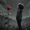 naeem_writer24