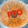 pyo7654321