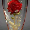 user7704269920660