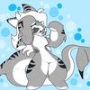 aurora_the_shark