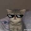 gjklpotgb1