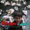 user95222927278532