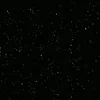 t_mujtaba3