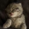 user86161211108607
