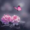 rawan.alhuseini