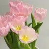 tuyet.nguyen4344