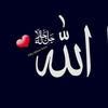 user49759155144174